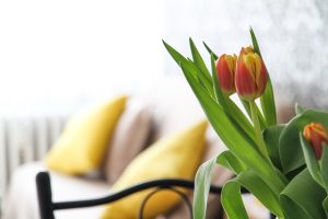 tulipani appartamento